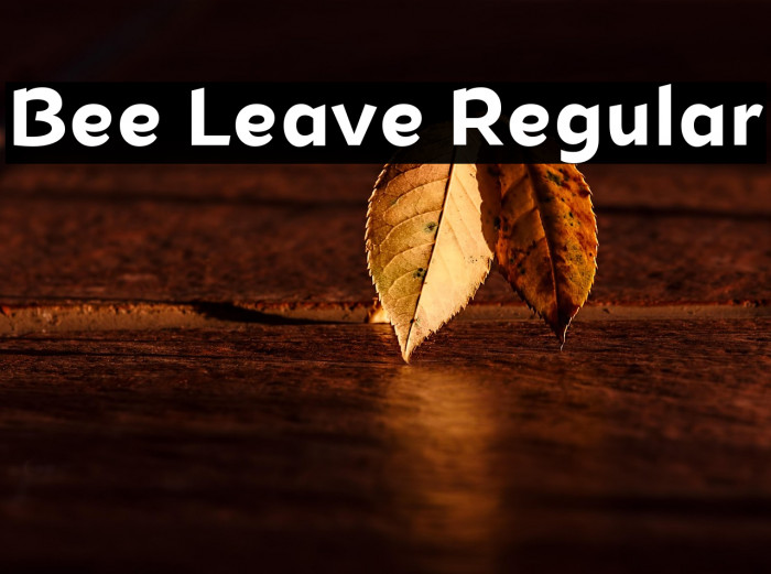 Bee Leave Regular Example 1