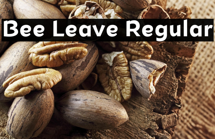 Bee Leave Regular Example 3