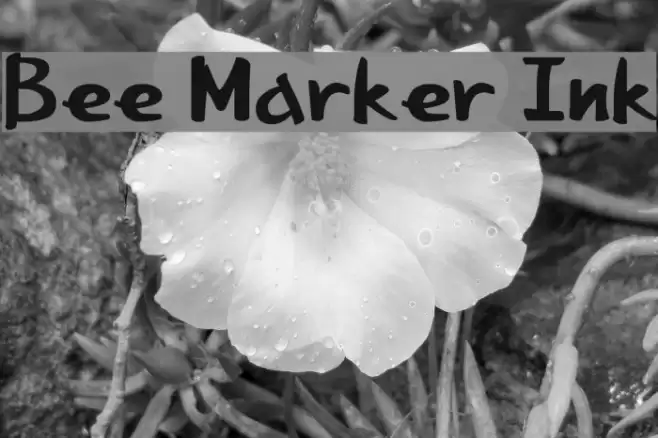 Bee Marker Ink Font examples