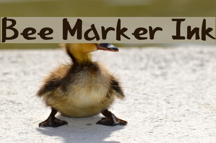 Bee Marker Ink Fuentes examples