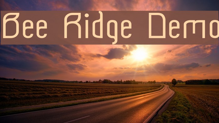 Bee Ridge Demo Font examples