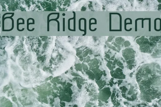 Bee Ridge Demo Example 2