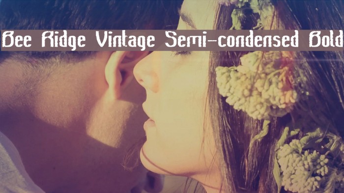 Bee Ridge Vintage Semi-condensed Bold Example 1