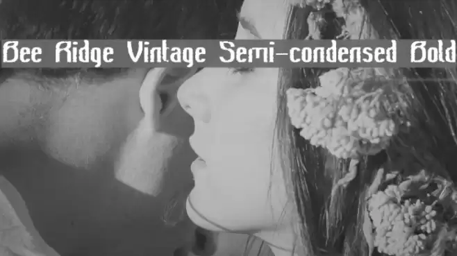 Bee Ridge Vintage Semi-condensed Bold Font examples