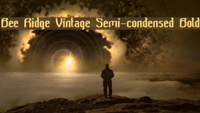Bee Ridge Vintage Semi-condensed Bold Example 2