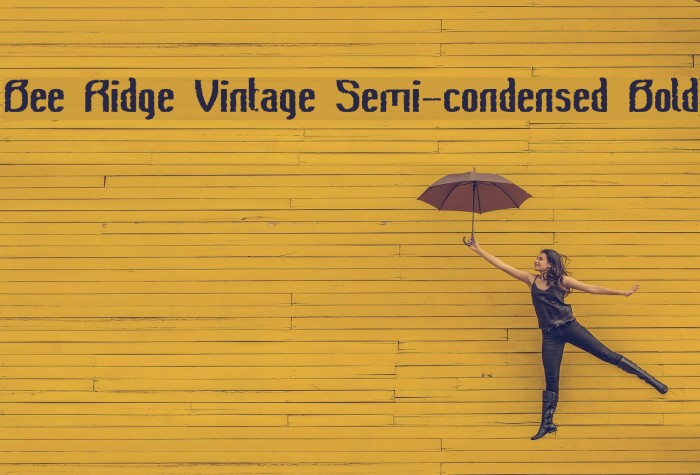 Bee Ridge Vintage Semi-condensed Bold Example 3