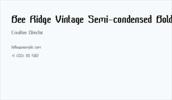 Bee Ridge Vintage Semi-condensed Bold Business Card