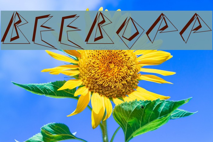 BeeBopp Font examples