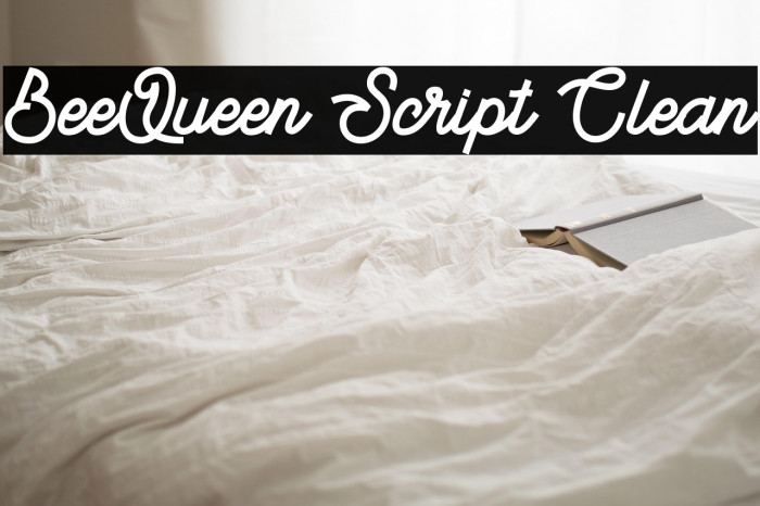 BeeQueen Script Clean Example 2