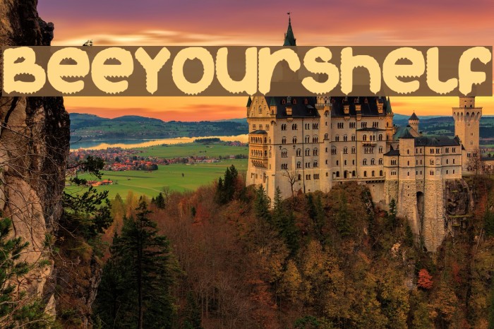 BeeYourShelf Example 1