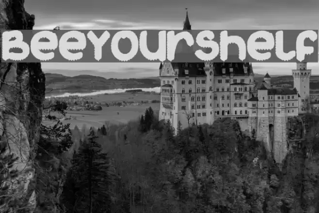 BeeYourShelf Font examples