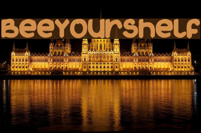 BeeYourShelf Example 2