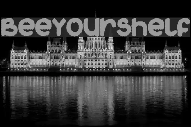 BeeYourShelf Font examples