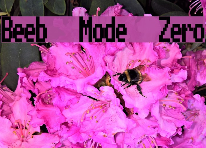 Beeb Mode Zero Fonte examples