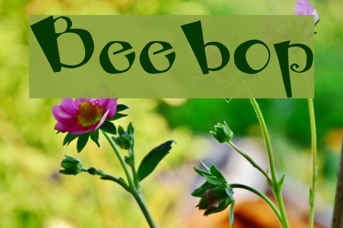 Beebop Font examples