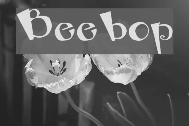 Beebop Font examples