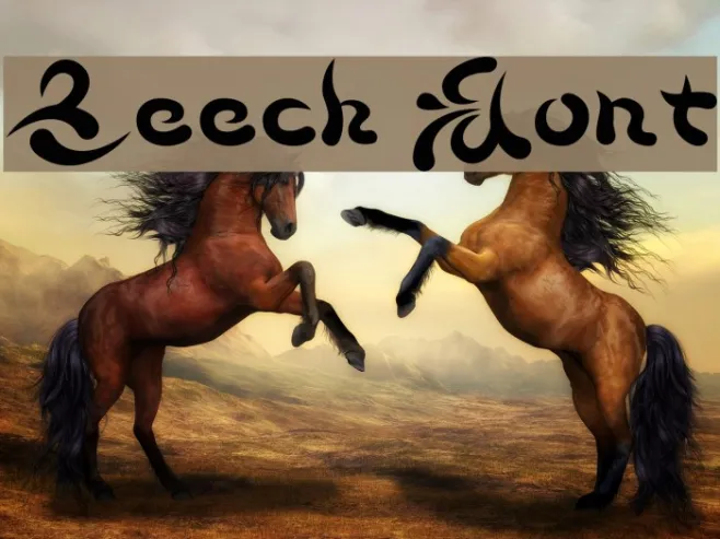 Beech Example 2