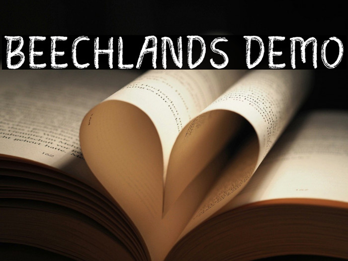 Beechlands Demo Example 1