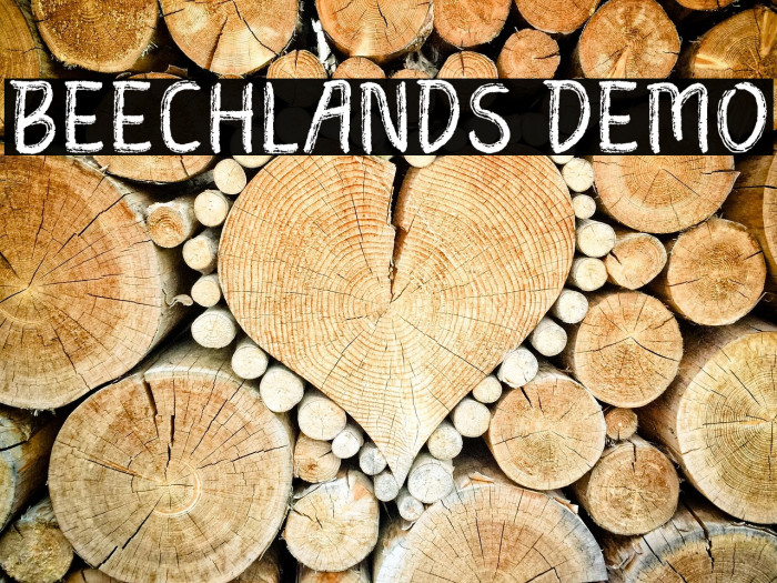 Beechlands Demo Example 2