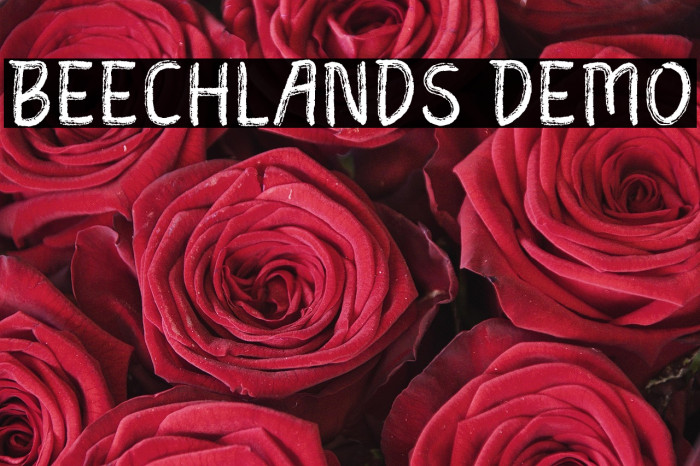 Beechlands Demo Example 3