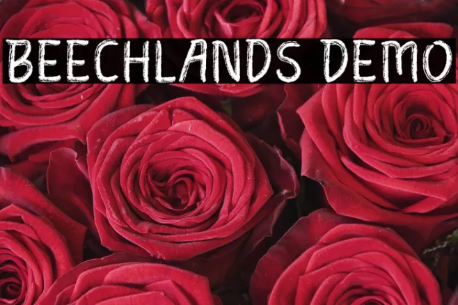 Beechlands Demo Example 3