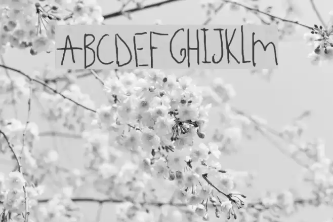 Beedey Font examples