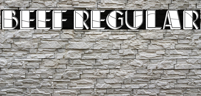 Beef Regular Example 1