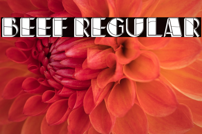 Beef Regular Example 2