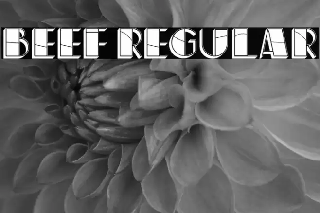 Beef Regular Font examples