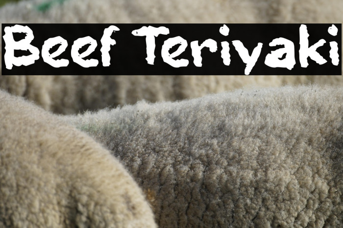 Beef Teriyaki Example 2