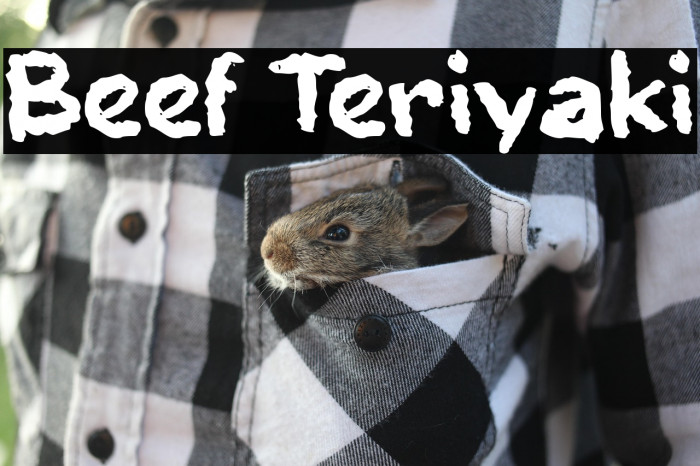 Beef Teriyaki Example 3