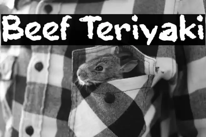 Beef Teriyaki Шрифта examples