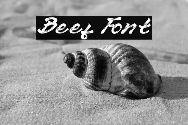 Beef Font examples