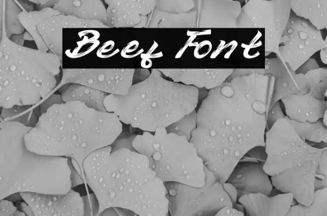 Beef Font examples