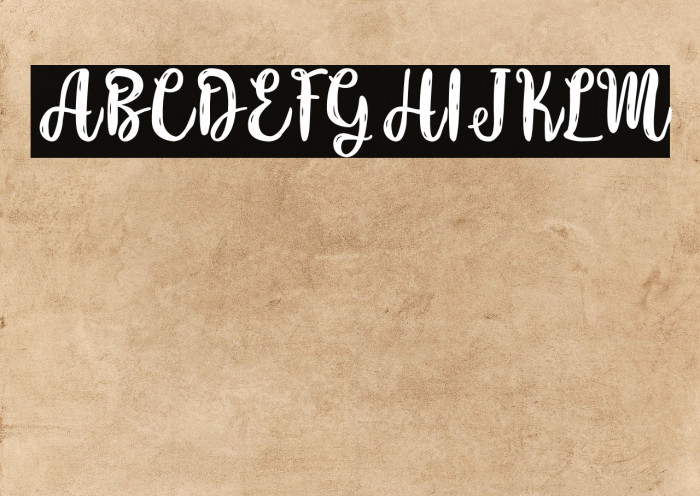 Beefy Soup - Personal Use Example 1