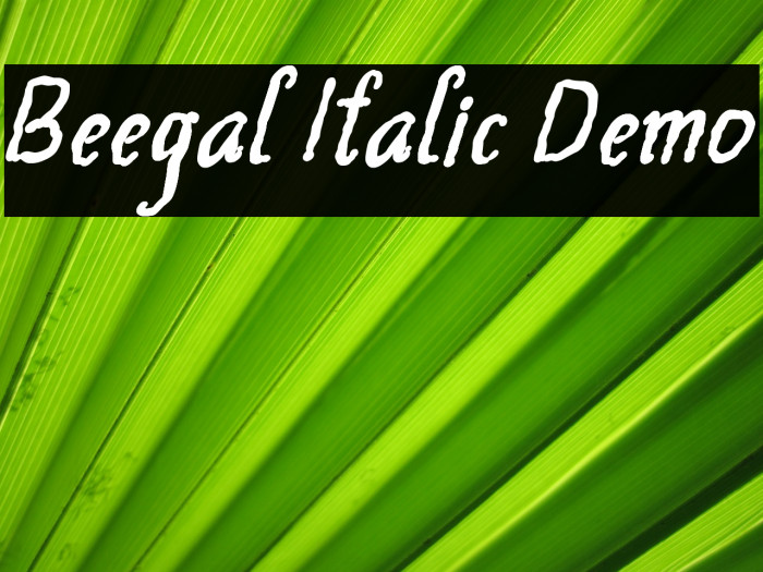 Beegal Italic Demo Font examples