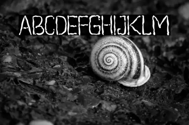 Beegal Font examples