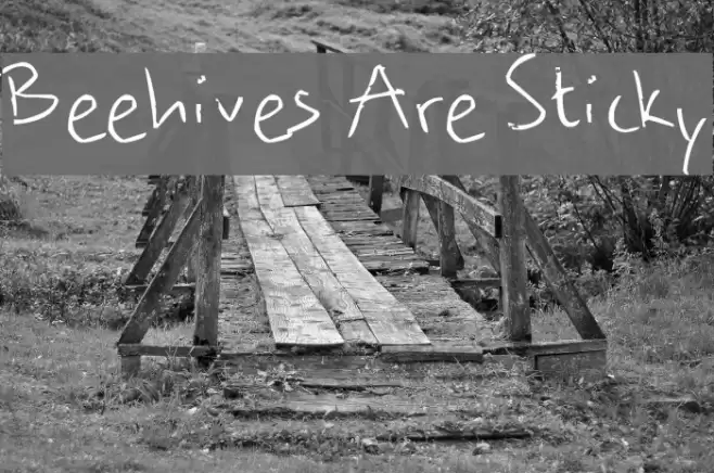 Beehives Are Sticky Шрифта examples