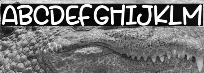 Beelova Font examples