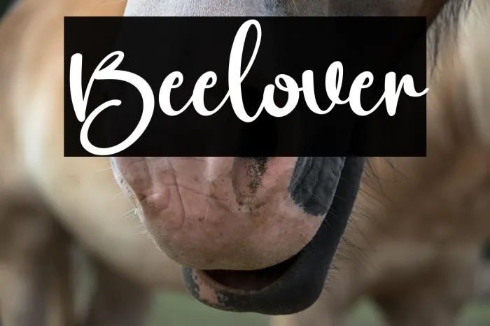 Beelover Example 3