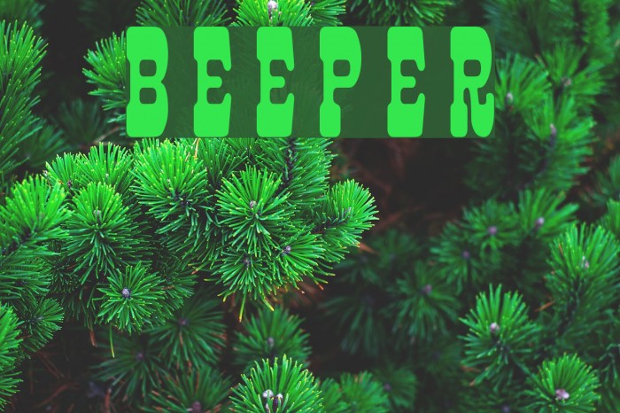 Beeper Example 2