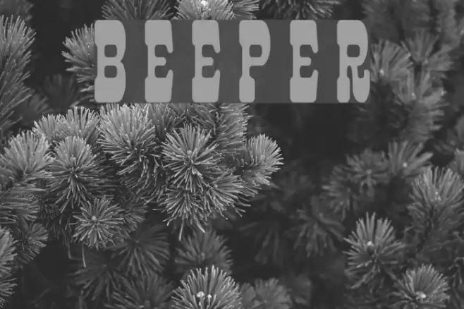Beeper Font examples