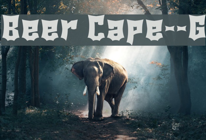 Beer Cape__G フォント examples