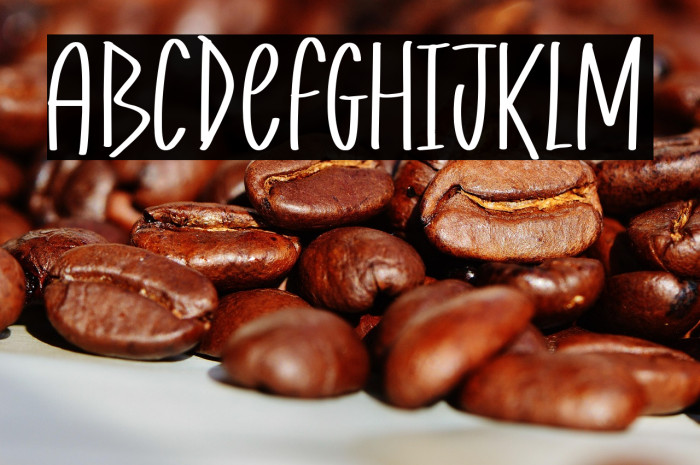 Beer Festival Example 2