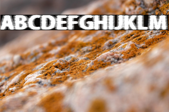 Beer Goggles Example 1