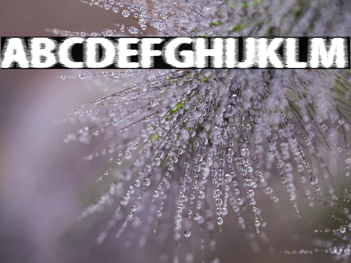 Beer Goggles Example 2