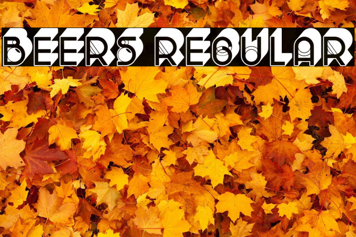 Beers Regular Example 1