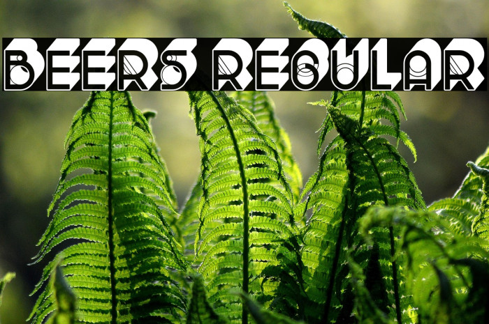 Beers Regular Example 3