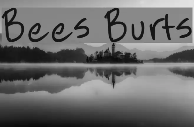 Bees Burts Font examples