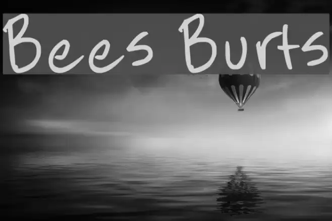 Bees Burts Font examples